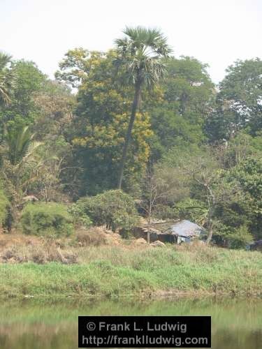 Sanjay Gandhi National Park, Borivali National Park, Maharashtra, Bombay, Mumbai, India